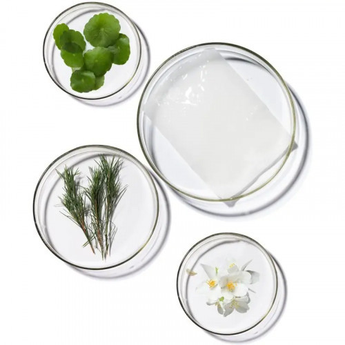 Terrazen PDRN Total Renew Mask 25ml