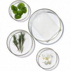 Terrazen PDRN Total Renew Mask 25ml