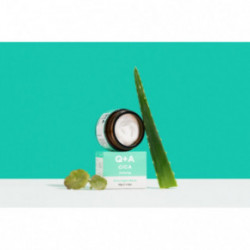 Q+A Cica Calming Overnight Mask 50g