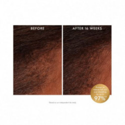 Moroccanoil Revitalizing Scalp Tonic 100ml