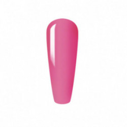 Sincero Salon Color Builder Gel 5in1 15ml