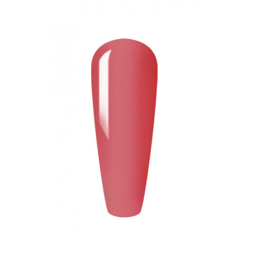 Sincero Salon Color Builder Gel 5in1 15ml