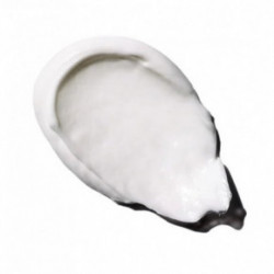 Benamor Alecrim Purifying Foot Cream 90ml