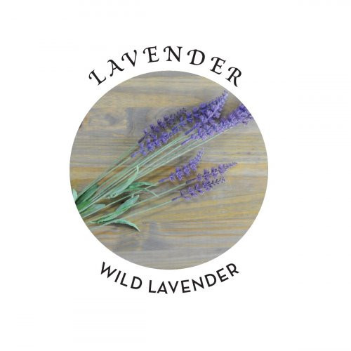 Hemp Seed Lavender Hand & Body Lotion 207ml