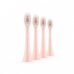 ORDO Sonic Brush Head 4 pcs
