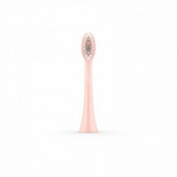 ORDO Sonic Brush Head 4 pcs