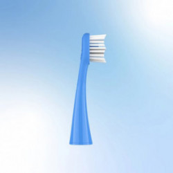 ORDO Sonic Brush Head 4 pcs