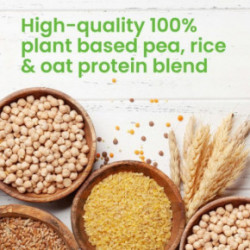 VPLab Nutrition Vegan Protein 500g
