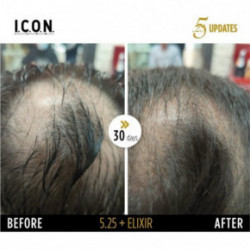 I.C.O.N. Restoratives Haircare Set