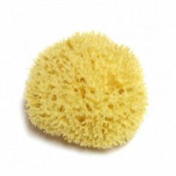 Hydrea London Honeycomb Sea Sponge ~13 cm