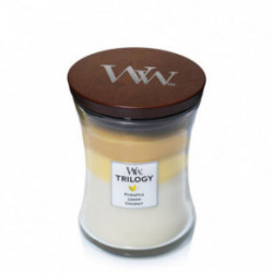 WoodWick Fruits of Summer Candle Medium