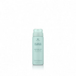 Alterna My Hair My Canvas Another Day Dry Shampoo 142g