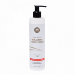 GMT BEAUTY Repairing Conditioner 300ml