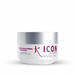 I.C.O.N. Transformational Infusion Hydrating Remedy Hair Mask