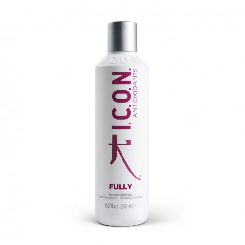 Photos - Hair Product I.C.O.N. Fully Antioxidant Shampoo 250ml