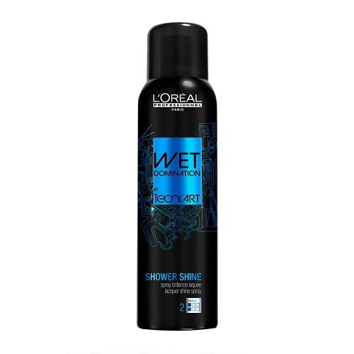 L'Oréal Professionnel Tecni Art Wet Domination Shower Shine Hair Styling Spray 160ml