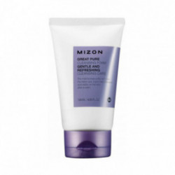 Mizon Great Pure Cleansing Foam 120ml