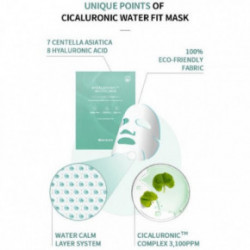 Mizon Cicaluronic Water Fit Mask 24g