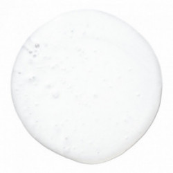 Paul Mitchell Lavender Mint Moisturizing Shampoo 300ml