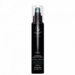 Paul Mitchell Awapuhi Wild Ginger HydroMist Blow-Out Spray 150ml