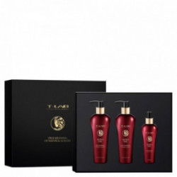 T-LAB Professional Aura Oil Ritual Haircare Set