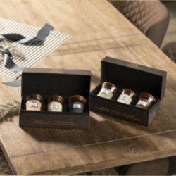 WoodWick Mini Core Evening Onyx, Solar Ylang, Coastal Sunset Gift Set 3pcs