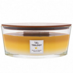 WoodWick Fruits of Summer Candle Medium
