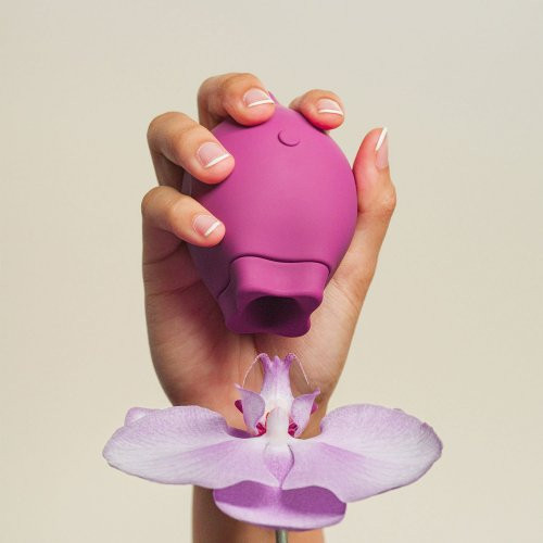 Smile Makers The Poet Air Pulse Clitoral Stimulator 1pcs